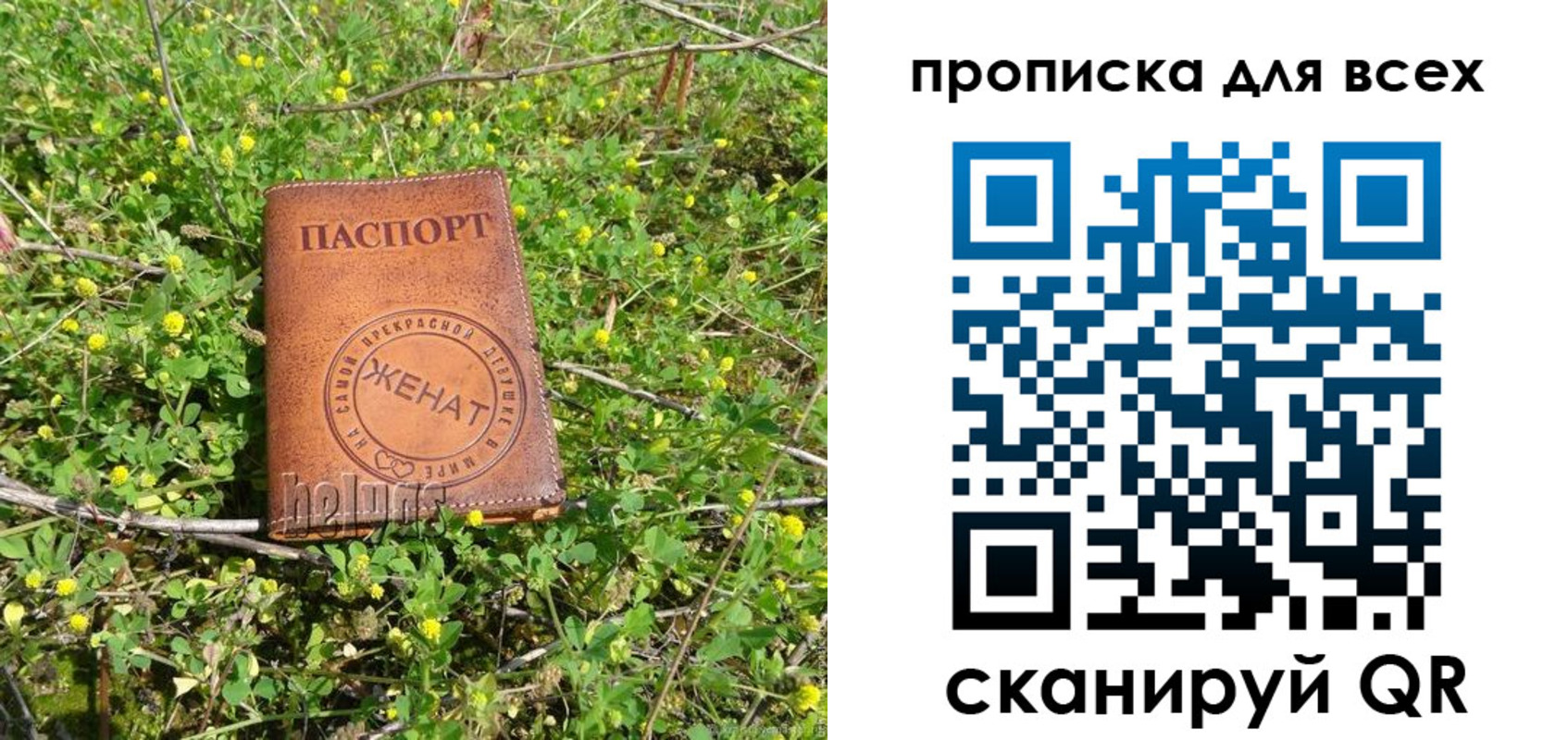 прописка поиск в Старой Руссе